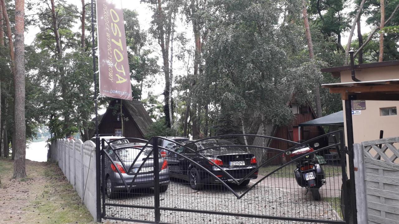 Ostoja Slesin Villa Екстериор снимка